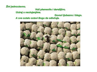 Živi jednostavno.  Voli plemenito  i  darežljivo. Ustraj u nastojanjima.  Govori ljubazno i blago. A  sve ostalo ostavi Bogu da odlučuje. 