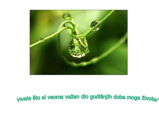 Hvala što si veoma važan dio godišnjih doba moga života! 