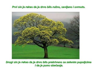 Prvi sin je rekao da je drvo bilo ružno, savijeno i uvrnuto. Drugi sin je rekao da je drvo bilo prekriveno sa zelenim pupoljcima i da je puno obećanja. 