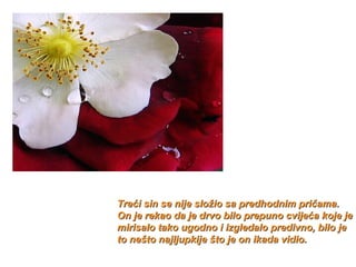 Tre ć i sin se nije slo ž io sa predhodnim pri č ama.  O n  je rekao da je drvo bilo prepuno cv ij e ć a  koje je mirisalo tako ugodno i izgledalo predivno, bilo je to nešto najljupkije što je on ikada vidio. 