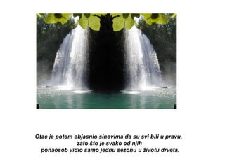 Otac je potom objasnio sinovima da su svi bili u pravu,  zato što je svako od njih ponaosob vidio samo jednu sezonu u životu drveta. 