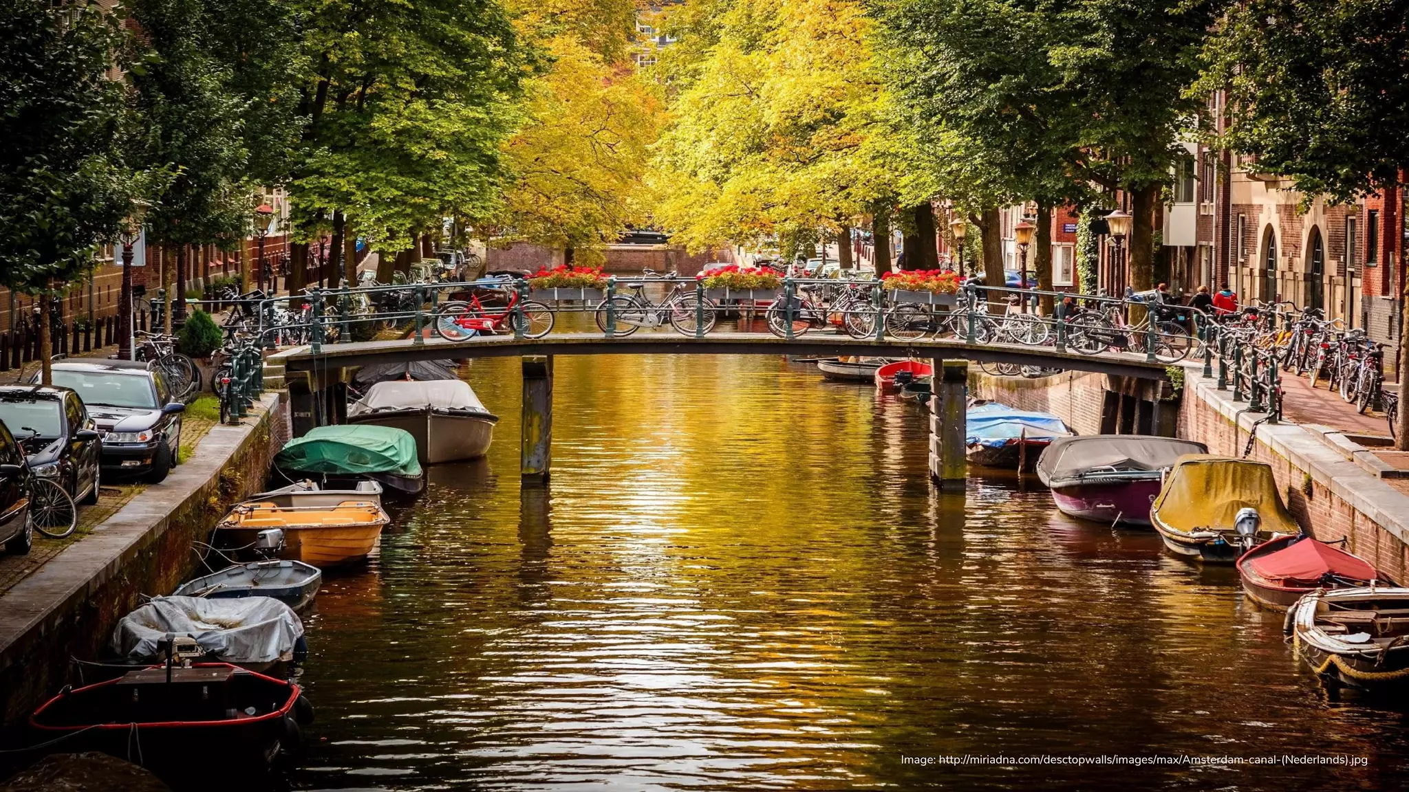 Image: http://miriadna.com/desctopwalls/images/max/Amsterdam-canal-(Nederlands).jpg
 