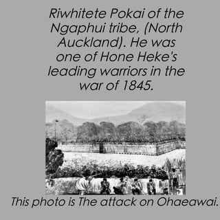 Riwhitete Pokai of the
Ngaphui tribe, (North
Auckland). He was
one of Hone Heke's
leading warriors in the
war of 1845.

This photo is The attack on Ohaeawai.

 