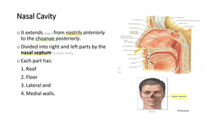 Anatomy of joints uploaded by riya dharm | PDF