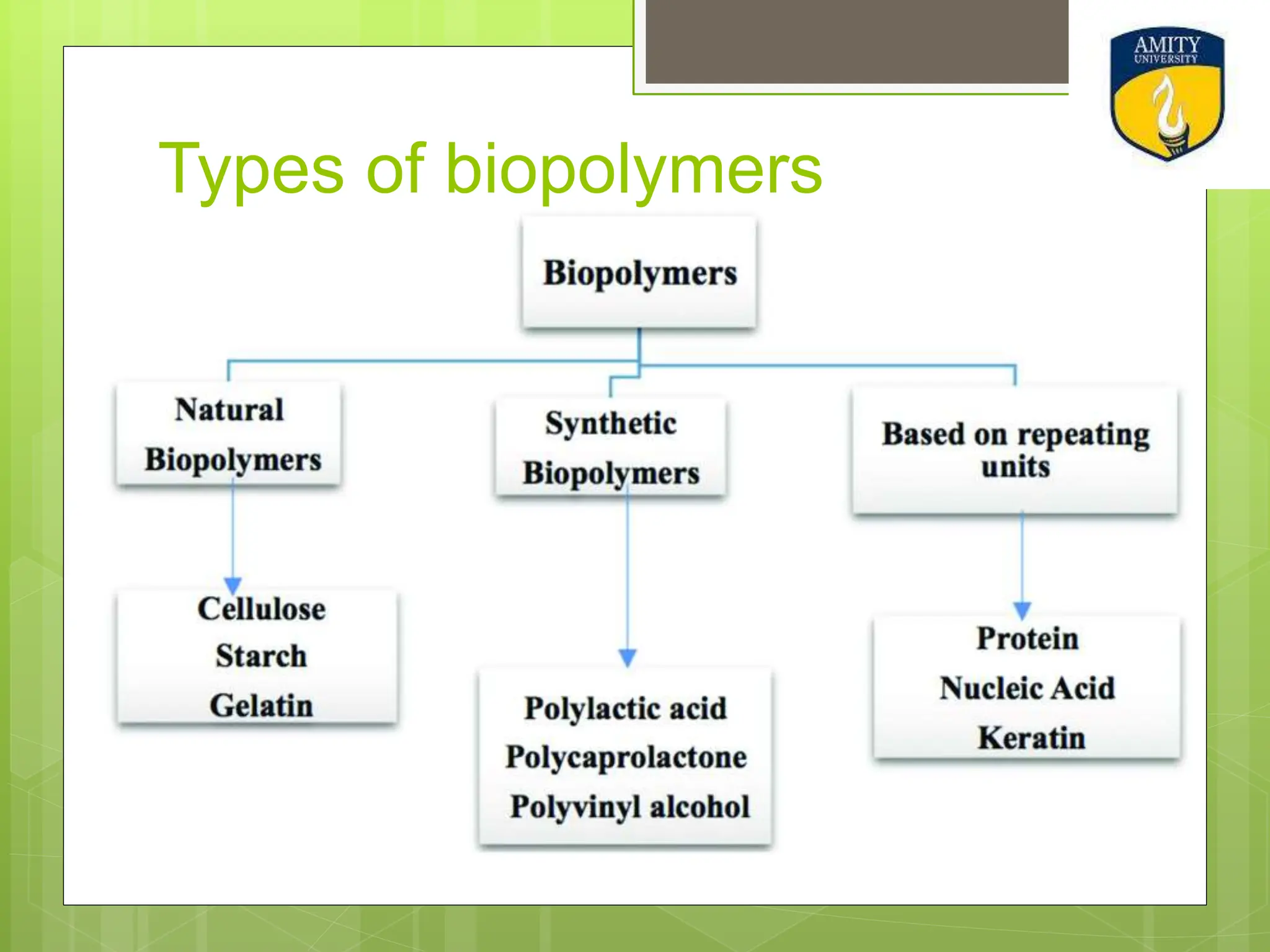 Types of biopolymers
 