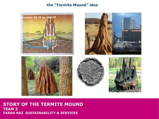 the “Termite Mound” idea


         Outside 35 ºF to 100 ºF




                         87 ºF




STORY OF THE TERMITE MOUND
TEAM 3
FARAH NAZ SUSTAINABILITY & SERVICES
 
