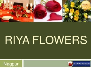 RIYA FLOWERS
Nagpur
 