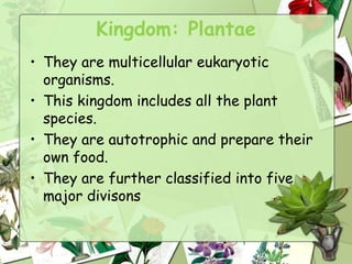 Kingdom: Plantae
• They are multicellular eukaryotic
organisms.
• This kingdom includes all the plant
species.
• They are autotrophic and prepare their
own food.
• They are further classified into five
major divisons
 