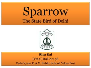 Sparrow
The State Bird of Delhi
Riya Rai
(Vth C) Roll No: 38
Veda Vyasa D.A.V. Public School, Vikas Puri
 