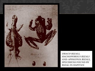 Rizal-in-Spain.- life and works of rizal | PPT