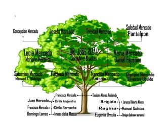 Jose Rizal Family Tree With Picture