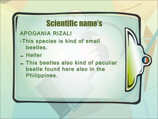 Rizal as a scientist | PPT