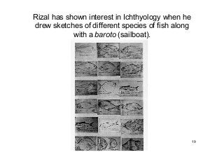 Rizal as a Zoologist | PDF