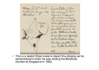 Rizal as a Zoologist | PDF
