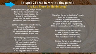 In April 22 1886 he wrote a fine poem ;
“ A Las Flore de Heidelberg”
Go to my native land, go, foreign flowers,
Sown by the traveler on his way,
And there, beneath its azure sky,
Where all my afflictions lie;
There from the weary pilgrim say
What faith is his in that land of ours!
Go there and tell how when the dawn,
Her early light diffusing,
Your petals first flung open wide;
His steps beside chill Neckar drawn,
You see him silent by your side
Upon its Spring perennial musing,
Say how when morning's light,
All your fragrance stealing,
Whispers to you as in mirth,
Playful songs of Love's delight,
He, too, murmurs his love's feeling
In the tongue he learned at birth.
That when the sun of Koenigsthul's height
Pours out its golden flood,
And with its slowly warming light
Gives life to vale and grove and wood,
He greets that sun, here only apraising,
Which in his native land is at its zenith blazing.
And tell there of that day he stood,
Near to a ruin'd castle gray,
By Neckar's banks, or shady wood,
And pluck'd you beside the way
Tell, too, the tale to you addressed,
And how with tender care,
Your bending leaves he press'd
Twist pages of some volume rare.
 