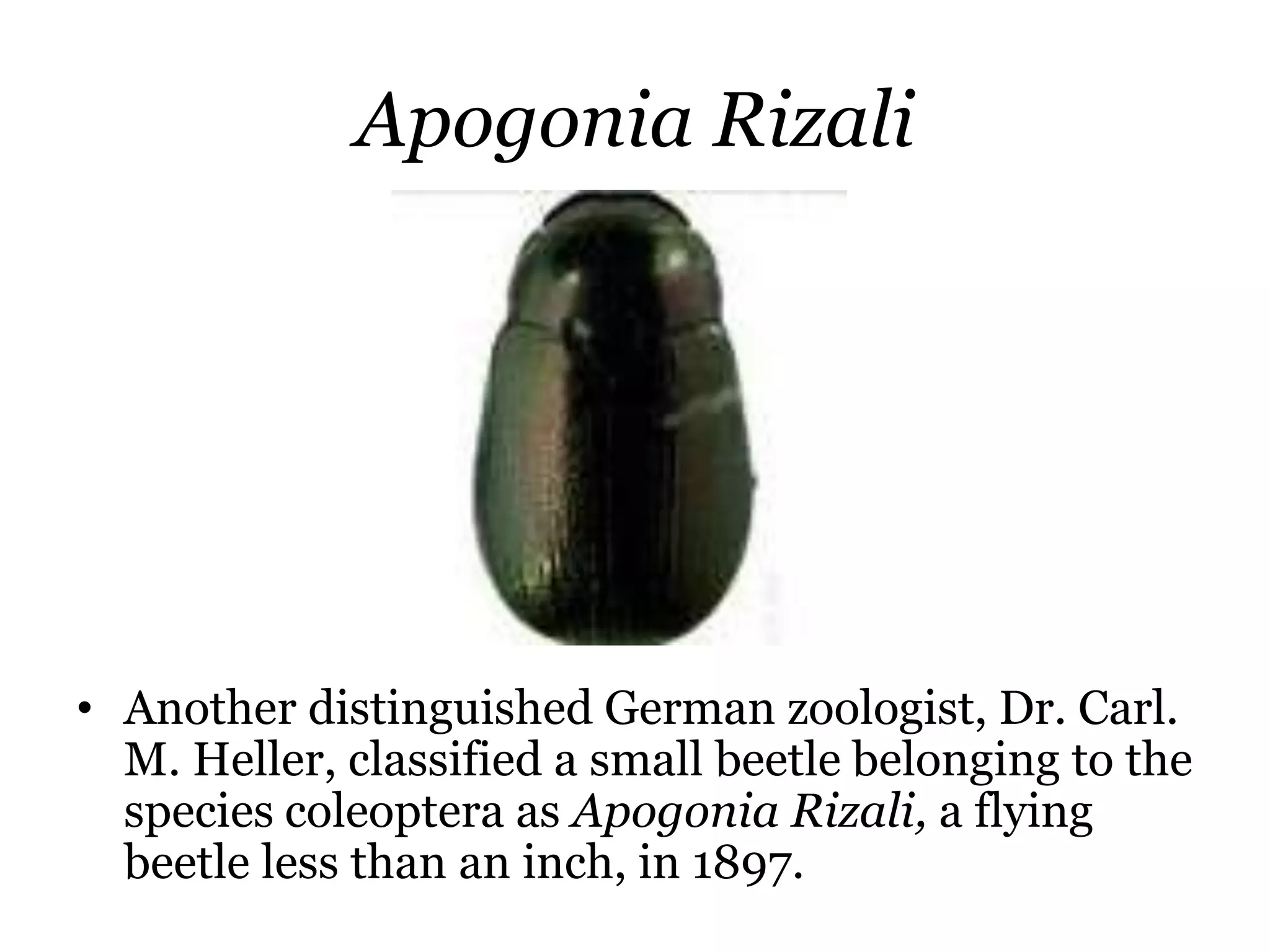 Jose Rizal as an Anthropologist | PPTX