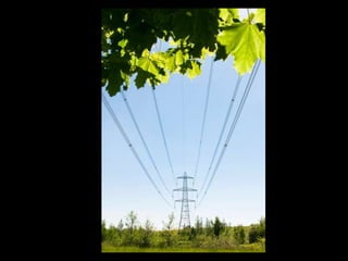 Rize   terminal - ppt