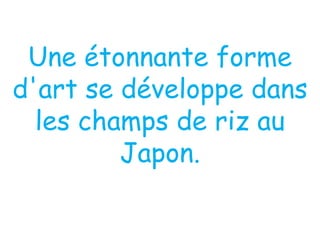 Une étonnante forme d'art se développe dans les champs de riz au Japon. 