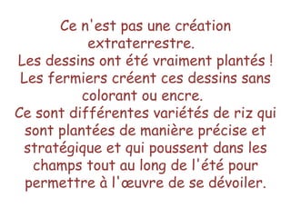 Ce n'est pas une création extraterrestre.   Les dessins ont été vraiment plantés ! Les fermiers créent ces dessins sans colorant ou encre.   Ce sont différentes variétés de riz qui sont plantées de manière précise et stratégique et qui poussent dans les champs tout au long de l'été pour permettre à l'œuvre de se dévoiler. 
