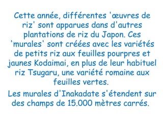 Cette année, différentes 'œuvres de riz' sont apparues dans d'autres plantations de riz du Japon. Ces 'murales' sont créées avec les variétés de petits riz aux feuilles pourpres et jaunes Kodaimai, en plus de leur habituel riz Tsugaru, une variété romaine aux feuilles vertes.  Les murales d'Inakadate s'étendent sur des champs de 15.000 mètres carrés.   