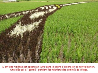 L'art des rizières est apparu en 1993 dans le cadre d'un projet de revitalisation,  Une idée qui a &quot; germé &quot; pen...