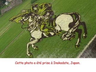 Cette photo a été prise à Inakadate, Japon.

 