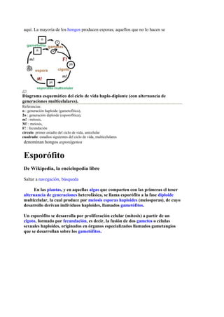 aquí. La mayoría de los hongos producen esporas; aquellos que no lo hacen se




Diagrama esquemático del ciclo de vida haplo-diplonte (con alternancia de
generaciones multicelulares).
Referencias:
n : generación haploide (gametofítica),
2n : generación diploide (esporofítica),
m! : mitosis,
M! : meiosis,
F! : fecundación
círculo: primer estadío del ciclo de vida, unicelular
cuadrado: estadíos siguientes del ciclo de vida, multicelulares
denominan hongos asporágenos


Esporófito
De Wikipedia, la enciclopedia libre

Saltar a navegación, búsqueda

     En las plantas, y en aquellas algas que comparten con las primeras el tener
alternancia de generaciones heterofásica, se llama esporófito a la fase diploide
multicelular, la cual produce por meiosis esporas haploides (meiosporas), de cuyo
desarrollo derivan individuos haploides, llamados gametófitos.

Un esporófito se desarrolla por proliferación celular (mitosis) a partir de un
cigoto, formado por fecundación, es decir, la fusión de dos gametos o células
sexuales haploides, originados en órganos especializados llamados gametangios
que se desarrollan sobre los gametófitos.
 