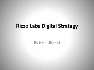 Rizzo Labs Digital Strategy 
By Nick Liberati 
 