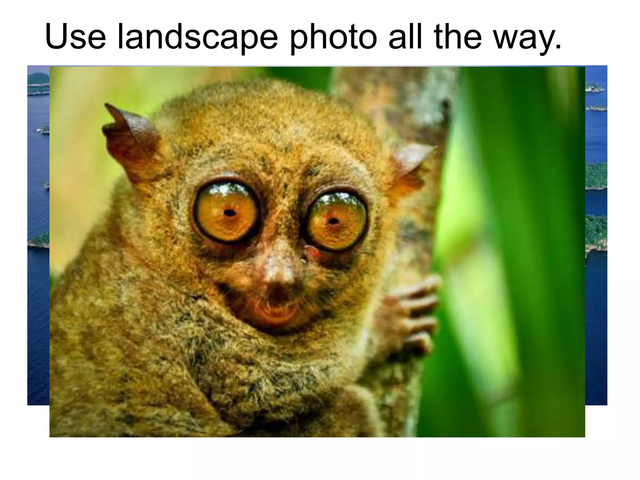 Use landscape photo all the way.
 