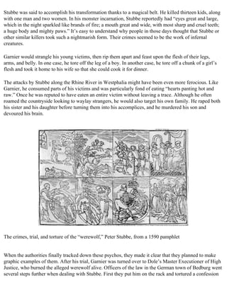 The serial killer files