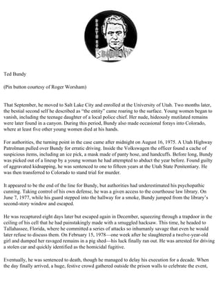 The serial killer files