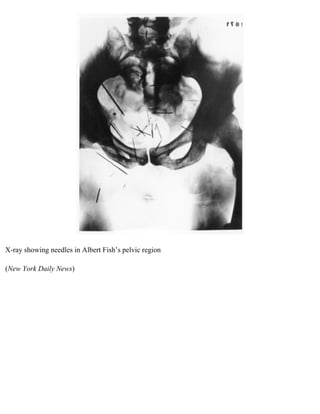 The serial killer files