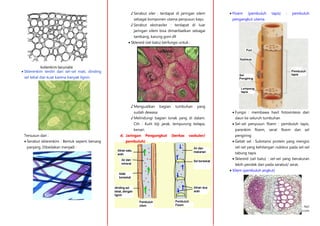 cRea : Ra3
rereshadow@gmail.com
 Sklerenkim terdiri dari sel-sel mati, dinding
sel tebal dan kuat karena banyak lignin.
Tersusun dari :
 Serabut sklerenkim : Bentuk seperti benang
panjang. Dibedakan menjadi :
♪ Serabut xiler : terdapat di jaringan xilem
sebagai komponen utama penyusun kayu
♪ Serabut ekstraxiler : terdapat di luar
jaringan xilem bisa dimanfaatkan sebagai
tambang, karung goni dll
 Sklereid (sel batu) berfungsi untuk :
♪ Menguatkan bagian tumbuhan yang
sudah dewasa
♪ Melindungi bagian lunak yang di dalam.
Cth : Kulit biji jarak, tempurung kelapa,
kenari.
d. Jaringan Pengangkut (berkas vaskuler/
pembuluh)
 Floem (pembuluh tapis) : pembuluh
pengangkut utama.
 Fungsi : membawa hasil fotosintesis dari
daun ke seluruh tumbuhan
 Sel-sel penyusun floem : pembuluh tapis,
parenkim floem, serat floem dan sel
pengiring
 Getah sel : Substansi protein yang mengisi
sel-sel yang kehilangan nukleus pada sel-sel
tabung tapis
 Sklereid (sel batu) : sel-sel yang berukuran
lebih pendek dari pada serabut/ serat.
 Xilem (pembuluh angkut)
 