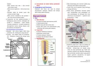 cRea : Ra3
rereshadow@gmail.com
Catatan :
♪ Nilai osmosis bulu akar > nilai osmosis
cairan dalam tanah
♪ Nilai osmosis epidermis > nilai osmosis bulu
akar
♪ Semakin dekat ke silinder pusat nilai
osmosis semakin tinggi
♪ Nilai osmosis endodermis dan perisikel <
dari nilai osmosis korteks terakhir.
 Transportasi zat dari epidermis–korteks 4
berlangsung secara osmosis, sedangkan dari
korteks 4 – endodermis – xylem berlaku
“loncatan endodermis”. Loncatan endodermis
dimungkinkan karena adanya tekanan akar
dan aktivitas sel endodermis
Cara pengangkutan ekstravaskuler :
 Apoplas : dari semua bagian tidak hidup
tumbuhan. Cth : dinding sel, ruang antar sel
 Simplas : dari bagian hidup sel tumbuhan.
Cth : Sitoplasma, vakuola satu dengan yang
lain
b. Intravaskuler (di dalam berkas pembuluh/
xilem)
2. Pengangkutan hasil fotosintesis
Dilakukan oleh floem dari daun ke tempat
penyimpanan cadangan makanan dan tempat
aktif tumbuh pada tumbuhan
Organ pada Tumbuhan
1. Akar
a. Sifat-sifat akar
 Tumbuh ke bawah (geotropisme positif)
 Tidak berwarna hijau
 Dekat ujung akar ada rambut akar
 Ujung akar punya zona pertumbuhan yang
dilindungi oleh tudung akar (kaliptra)
b. Fungsi akar
 Tempat melekatnya tumbuhan
 Menyerap mineral tanah
 Tempat cadangan makanan
 Sebagai alat pernafasan (bakau)
c. Morfologi akar
 Akar berkembang dari meristem apikal yang
dilindungi oleh kaliptra (tudung akar).
 Terdiri dari sel-sel parenkim yang berfungsi
sebagai pelindung
 Pada proses pembelahan meristem apikal
akan menghasilkan zona pembelahan sel,
zona pemanjangan sel (elongasi) dan zona
diferensiasi sel (protoderm → epidermis dan
prokambium → stele)
d. Anatomi akar
 Epidermis terdiri dari 1 lapis sel, dinding sel
tipis, mudah ditembus air, ada rambut akar.
 Korteks : berlapis-lapis sel, banyak ruang
antar sel untuk pertukaran gas. Terdiri dari
parenkim, kolenkim dan sklerenkim. Beberapa
lapis sel korteks memiliki suberin yang ada di
bawah epidermis (eksodermis). Di bawah
epidermis terdapat endodermis.
 