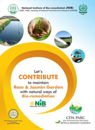 Let’s
CONTRIBUTE
to maintain
Rose & Jasmin Garden
with natural ways of
Bio-remediation
National Institute of Bio-remediation (NIB)
NARC, PARC, Mainstay of National Food Security & Research (MNFSR)
ROSE & JASMINE GARDEN
Bio-remediation Orchard
CDA-PARC
Bio-remedition Facility Project
Funded by
RADP, PARC, MNFSR
 