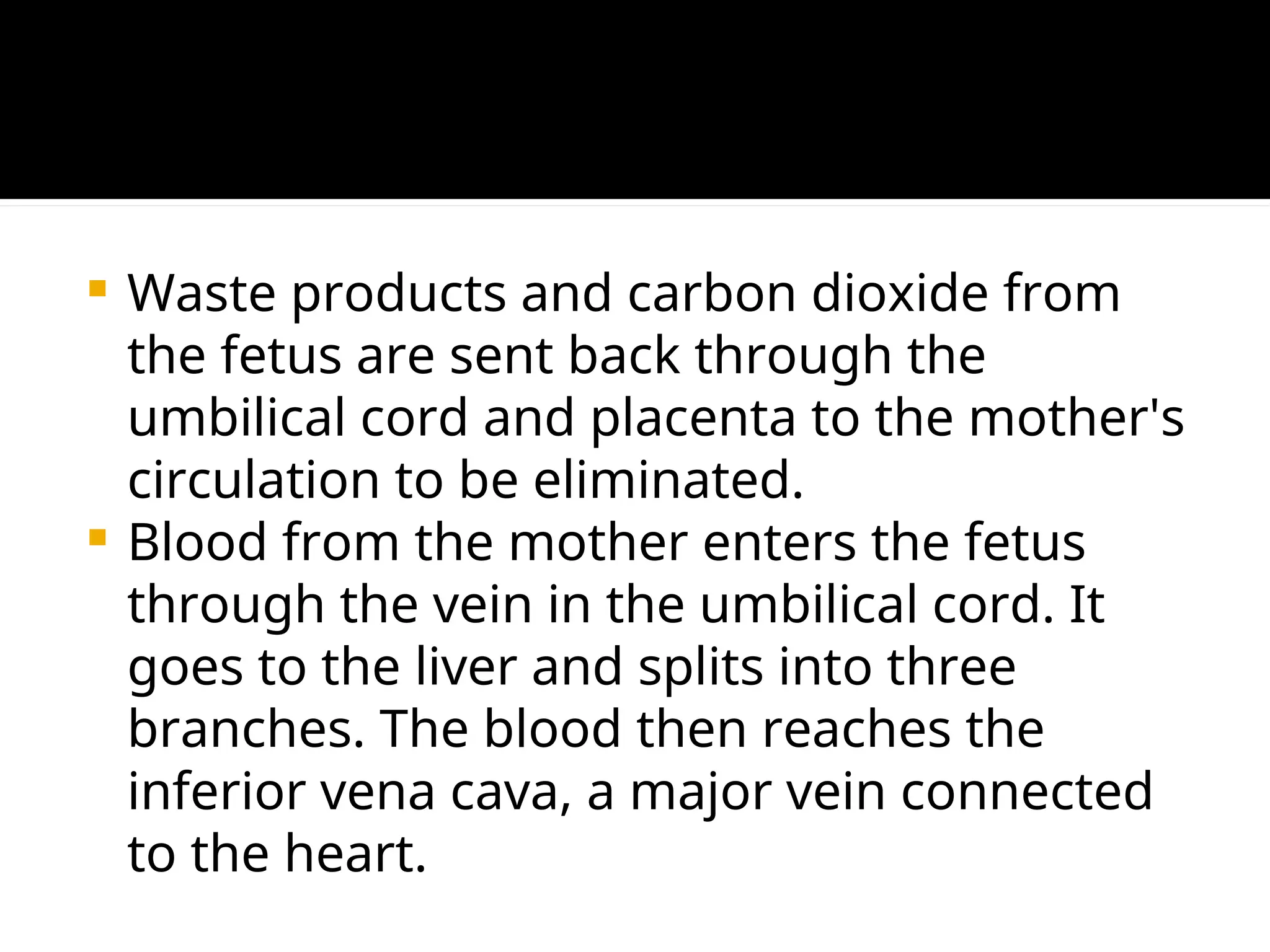  Waste products and carbon dioxide from
the fetus are sent back through the
umbilical cord and placenta to the mother's
circulation to be eliminated.
 Blood from the mother enters the fetus
through the vein in the umbilical cord. It
goes to the liver and splits into three
branches. The blood then reaches the
inferior vena cava, a major vein connected
to the heart.
 