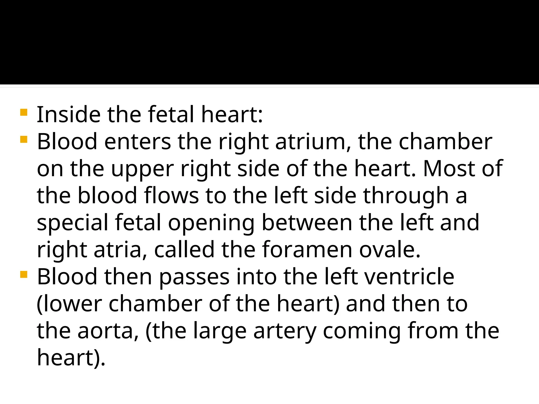  Inside the fetal heart:
 Blood enters the right atrium, the chamber
on the upper right side of the heart. Most of
the blood flows to the left side through a
special fetal opening between the left and
right atria, called the foramen ovale.
 Blood then passes into the left ventricle
(lower chamber of the heart) and then to
the aorta, (the large artery coming from the
heart).
 