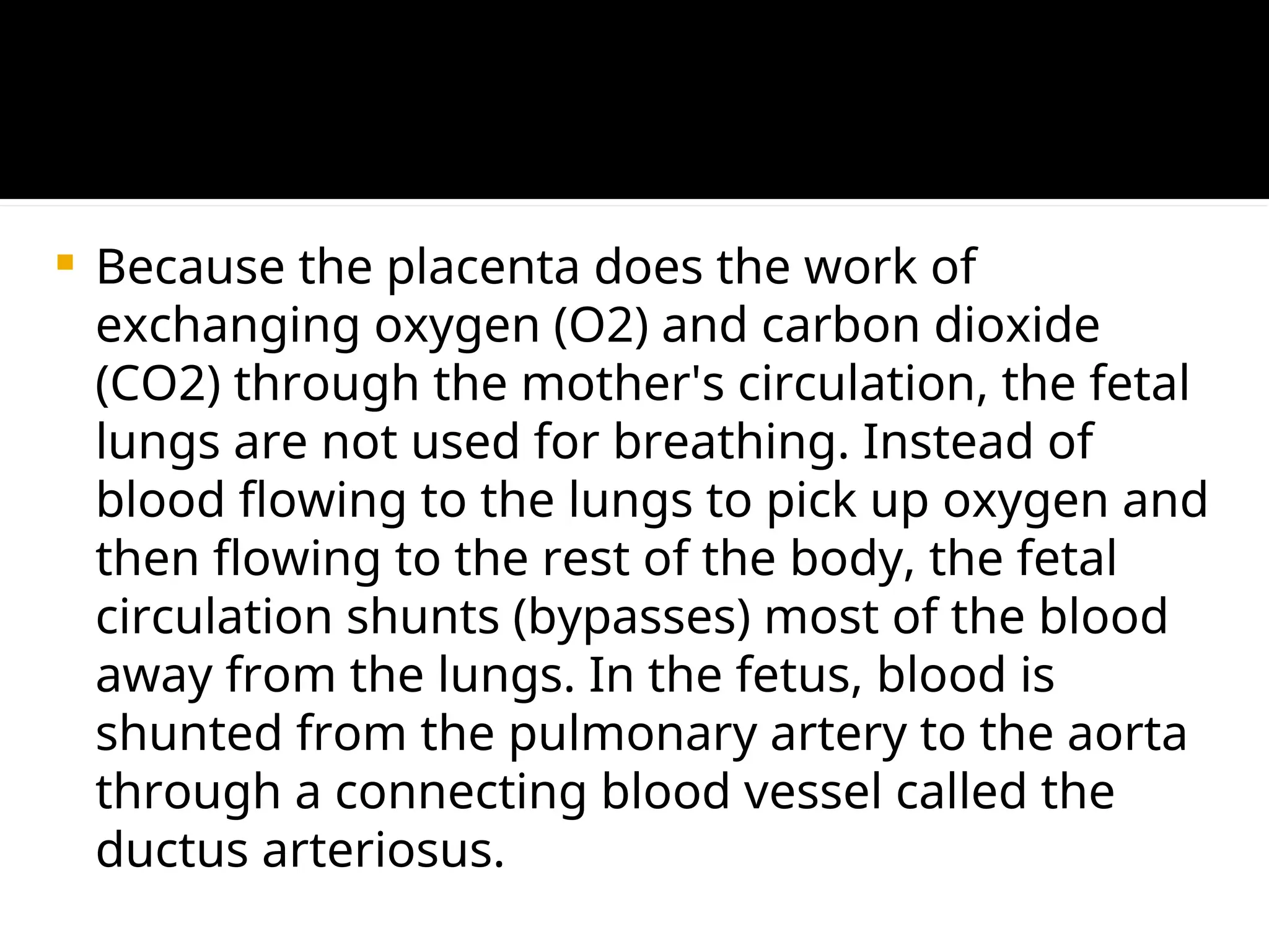  Because the placenta does the work of
exchanging oxygen (O2) and carbon dioxide
(CO2) through the mother's circulation, the fetal
lungs are not used for breathing. Instead of
blood flowing to the lungs to pick up oxygen and
then flowing to the rest of the body, the fetal
circulation shunts (bypasses) most of the blood
away from the lungs. In the fetus, blood is
shunted from the pulmonary artery to the aorta
through a connecting blood vessel called the
ductus arteriosus.
 