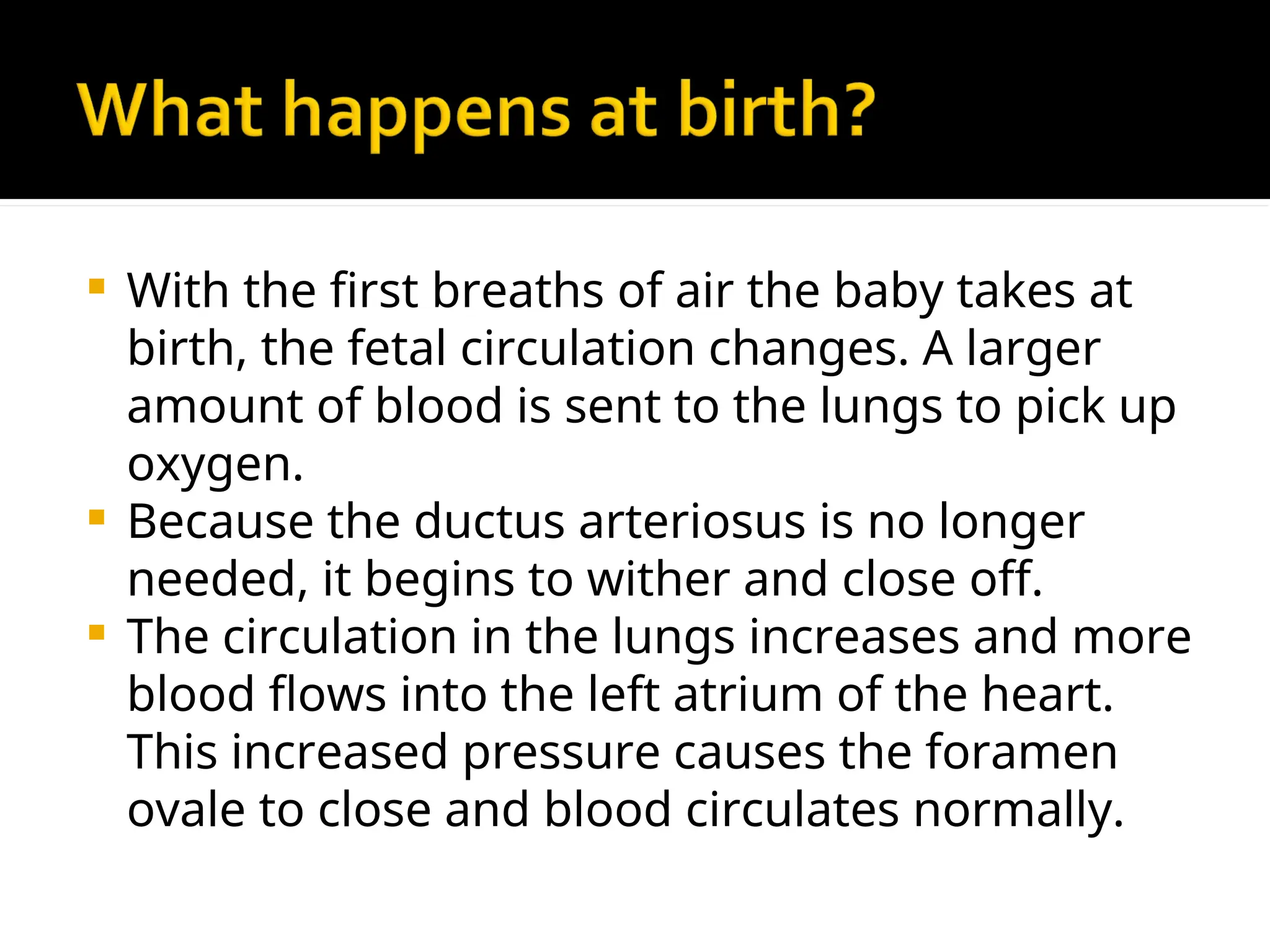  With the first breaths of air the baby takes at
birth, the fetal circulation changes. A larger
amount of blood is sent to the lungs to pick up
oxygen.
 Because the ductus arteriosus is no longer
needed, it begins to wither and close off.
 The circulation in the lungs increases and more
blood flows into the left atrium of the heart.
This increased pressure causes the foramen
ovale to close and blood circulates normally.
 