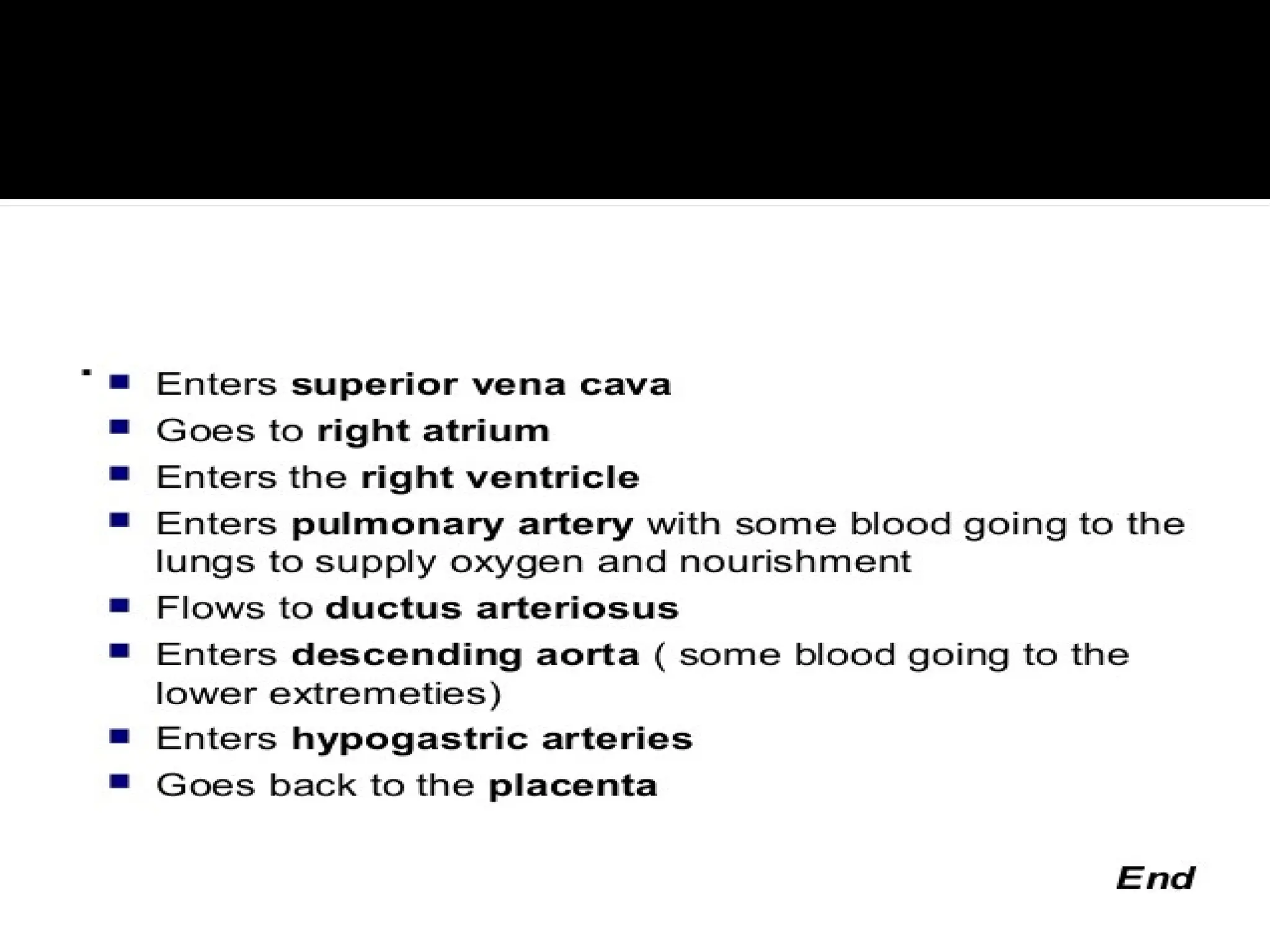 Fetal_Circulation.ppt. the circulatory mechanism in fetus