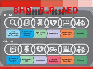 BHD – RJP -AED
 