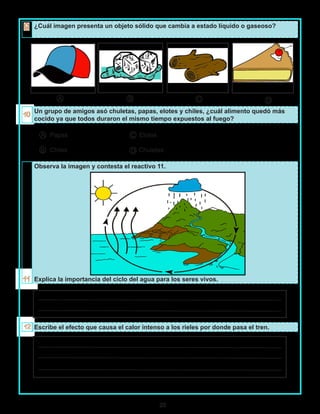 20
¿Cuál imagen presenta un objeto sólido que cambia a estado líquido o gaseoso?
Un grupo de amigos asó chuletas, papas, elotes y chiles, ¿cuál alimento quedó más
cocido ya que todos duraron el mismo tiempo expuestos al fuego?
Papas Elotes
Chiles Chuletas
Observa la imagen y contesta el reactivo 11.
Explica la importancia del ciclo del agua para los seres vivos.
Escribe el efecto que causa el calor intenso a los rieles por donde pasa el tren.
A B C D
A
B
C
D
 