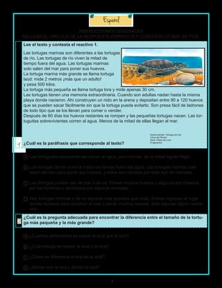3
Lee el texto y contesta el reactivo 1.
Las tortugas marinas son diferentes a las tortugas
de río. Las tortugas de río viven la mitad de
tiempo fuera del agua. Las tortugas marinas
solo salen del mar para poner sus huevos.
La tortuga marina más grande se llama tortuga
laúd: mide 2 metros ¡más que un adulto!
y pesa 500 kilos.
La tortuga más pequeña se llama tortuga lora y mide apenas 30 cm.
Las tortugas tienen una memoria extraordinaria. Cuando son adultas nadan hasta la misma
playa donde nacieron. Ahí construyen un nido en la arena y depositan entre 90 a 120 huevos
que se pueden sacar fácilmente sin que la tortuga pueda evitarlo. Son presa fácil de ladrones
de todo tipo que se los llevan para comer o vender.
Después de 60 días los huevos restantes se rompen y las pequeñas tortugas nacen. Las tor-
tuguitas sobrevivientes corren al agua. Menos de la mitad de ellas llegan al mar.
¿Cuál es la paráfrasis que corresponde al texto?
Las tortuguitas sobrevivientes corren al agua, pero menos de la mitad logran llegar.
Las tortugas de río viven la mitad del tiempo fuera del agua. Las tortugas marinas sólo
salen del mar para poner sus huevos, y éstos son robados por todo tipo de ladrones.
Las tortugas pueden ser de mar o de río. Ponen muchos huevos y algunos son robados
por los hombres y devorados por algunos animales.
Hay tortugas marinas y de río algunas más grandes que otras. Ambas regresan al lugar
donde nacieron para construir el nido y poner muchos huevos. Solo algunas logran sobre-
vivir.
¿Cuál es la pregunta adecuada para encontrar la diferencia entre el tamaño de la tortu-
ga más pequeña y la más grande?
¿Cuántos centímetros es mayor la laúd que la lora?
¿Cuál tortuga es mayor, la laúd o la lora?
¿Cómo se diferencia la lora de la laúd?
¿Dónde vive la lora y dónde la laúd?
A
B
C
D
A
B
C
D
Sobrevivientes: Tortugas de mar
Libros del Rincón
Serie: Pasos de Luna	
(Fragmento)
INSTRUCCIONES GENERALES:
RELLENA EL CÍRCULO DE LA RESPUESTA CORRECTA Y CONTESTA LO QUE SE PIDE.
 