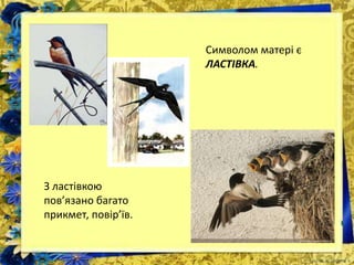 Символом матері є
ЛАСТІВКА.
З ластівкою
пов’язано багато
прикмет, повір’їв.
 