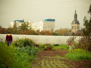 Publiek15. De kracht van de coöperatie. Adje Van Oekelen