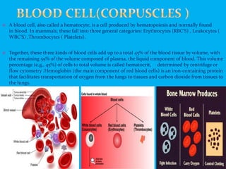  A blood cell, also called a hematocyte, is a cell produced by hematopoiesis and normally found
in blood. In mammals, these fall into three general categories: Erythrocytes (RBC’S) , Leukocytes (
WBC’S) ,Thrombocytes ( Platelets).
 Together, these three kinds of blood cells add up to a total 45% of the blood tissue by volume, with
the remaining 55% of the volume composed of plasma, the liquid component of blood. This volume
percentage (e.g., 45%) of cells to total volume is called hematocrit, determined by centrifuge or
flow cytometry .Hemoglobin (the main component of red blood cells) is an iron-containing protein
that facilitates transportation of oxygen from the lungs to tissues and carbon dioxide from tissues to
the lungs.
 