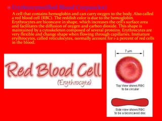  Erythrocytes(Red Blood Corpuscles)
A cell that contains hemoglobin and can carry oxygen to the body. Also called
a red blood cell (RBC). The reddish color is due to the hemoglobin.
Erythrocytes are biconcave in shape, which increases the cell's surface area
and facilitates the diffusion of oxygen and carbon dioxide. This shape is
maintained by a cytoskeleton composed of several proteins. Erythrocytes are
very flexible and change shape when flowing through capillaries. Immature
erythrocytes, called reticulocytes, normally account for 1-2 percent of red cells
in the blood.
 