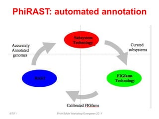 PhiRAST: automated annotation<br />8/7/11<br />PhAnToMe Workshop-Evergreen 2011<br />
