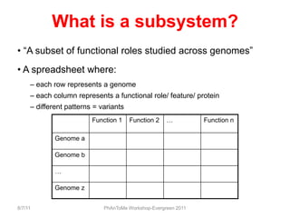 8/7/11<br />PhAnToMe Workshop-Evergreen 2011<br />What is a subsystem?<br /> “A subset of functional roles studied across ...