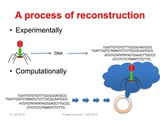 A process of reconstruction
• Experimentally
• Computationally
TGATTGTGTGTTTGCGCAATGCG
ATGTGTATATATAGTGAGCTTGCCC
GTCTCTCTNNNTCTCTTG
TGATTGGTCTNNNTCTCTTGCGCAATGCG
21 July 2016 Phage Genomics - VoM 2016
DNA
TGATTGTGTGTTTGCGCAATGCG
ATGTGTATATATAGTGAGCTTGCCC
GTCTCTCTNNNTCTCTTG
TGATTGGTCTNNNTCTCTTGCGCAATGCG
 